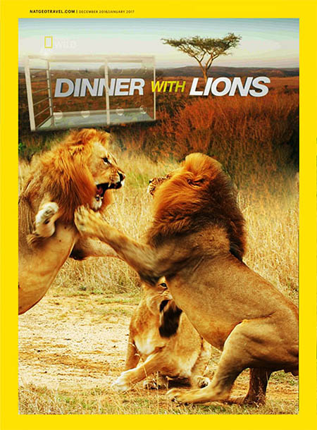 دانلود مستند شام با شیرها Dinner With Lions 2016