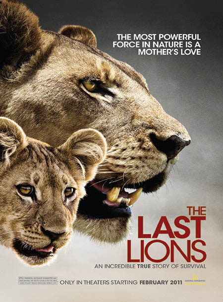 دانلود دوبله فارسی مستند آخرین شیرها The Last Lions 2011